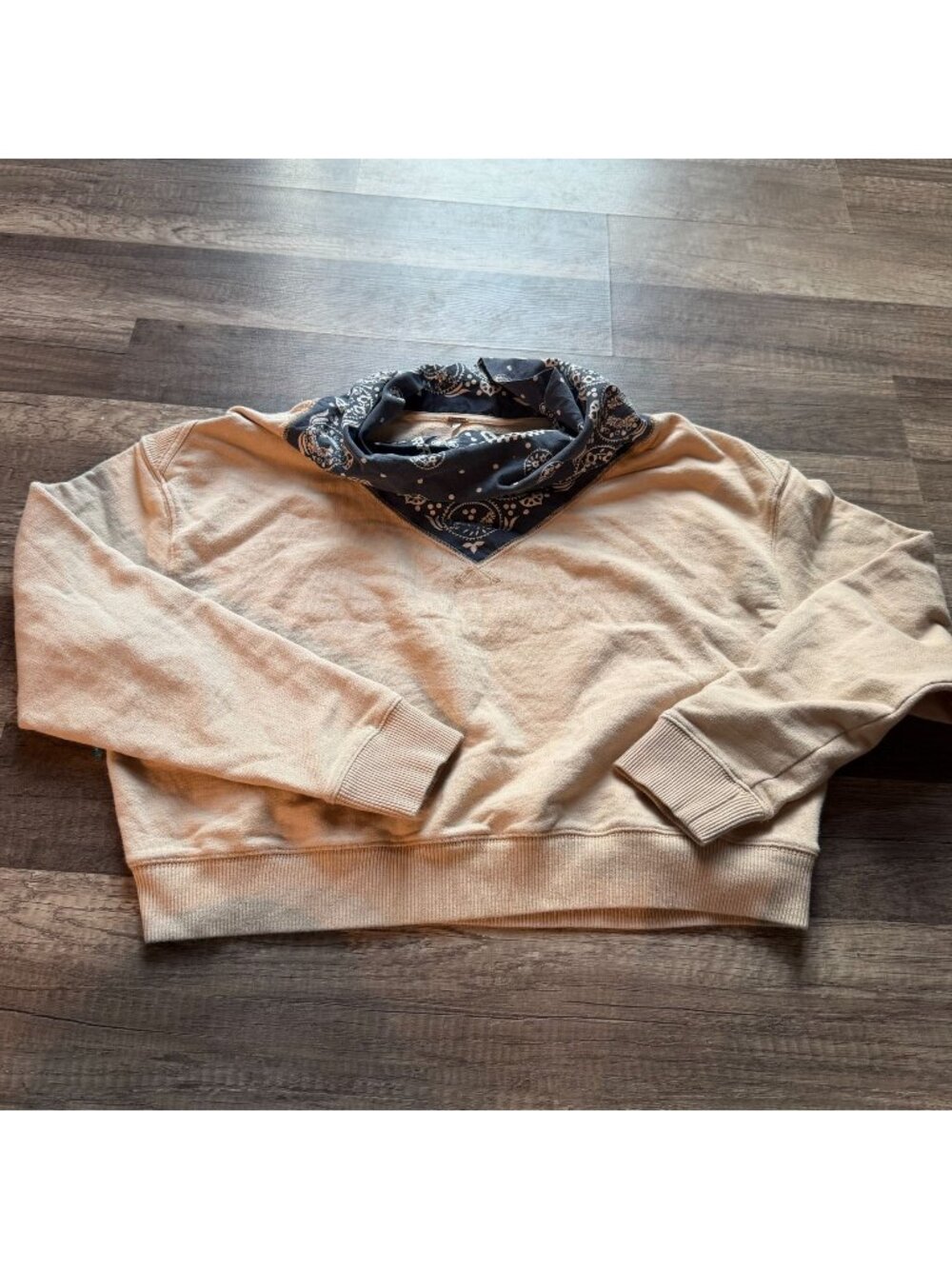 Free People Beige Sweatshirt With Navy Bandana Accent XS